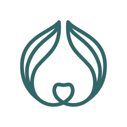 BaoVet